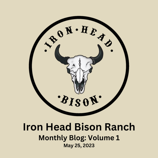 Iron Head Bison Monthly Blog: Volume 1