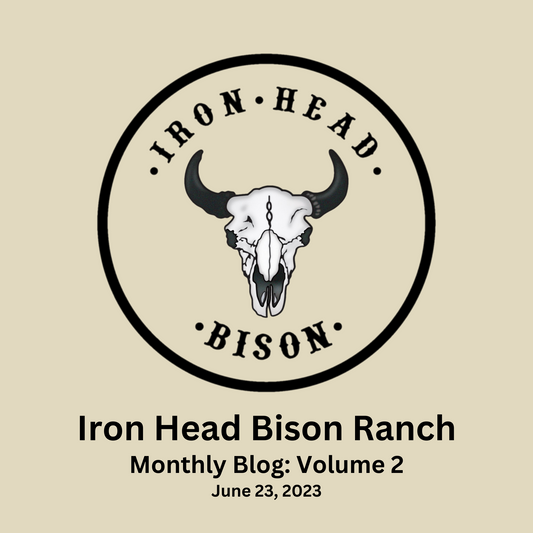 Iron Head Bison Monthly Blog: Volume 2