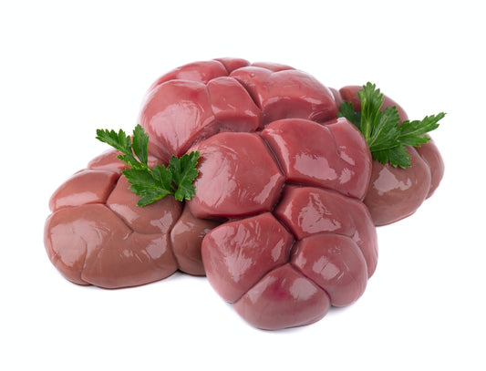 Bison Kidney